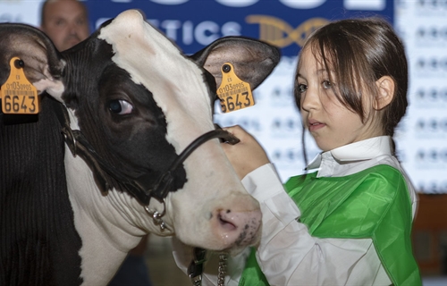 Otra mirada al Concurso Regional de Asturias de la Raza Frisona 2025
