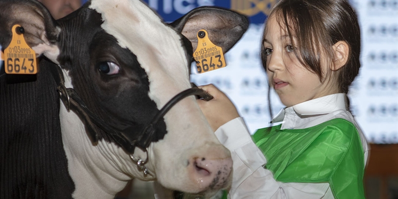 Otra mirada al Concurso Regional de Asturias de la Raza Frisona 2025