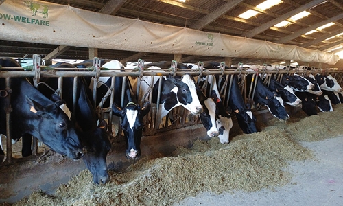 El proyecto GO_INMUNOGEN desarrolla las actividades previstas en junio...