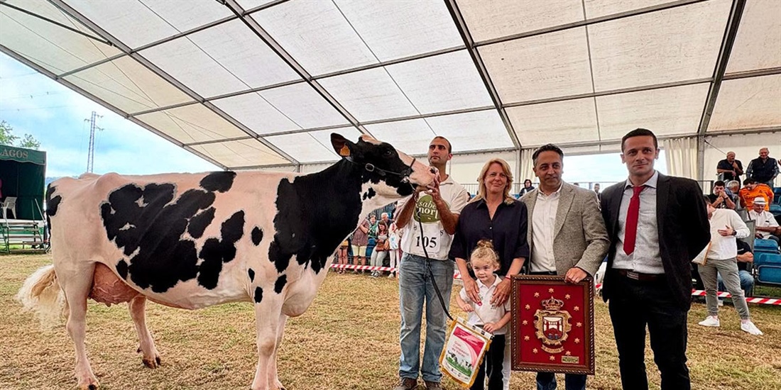 Cudaa Arenetes Dallas, Vaca Gran Campeona de Renedo 2025