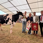 Cudaa Arenetes Dallas, Vaca Gran Campeona de Renedo 2025
