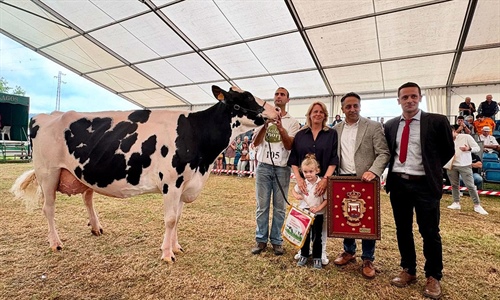 Cudaa Arenetes Dallas, Vaca Gran Campeona de Renedo 2025