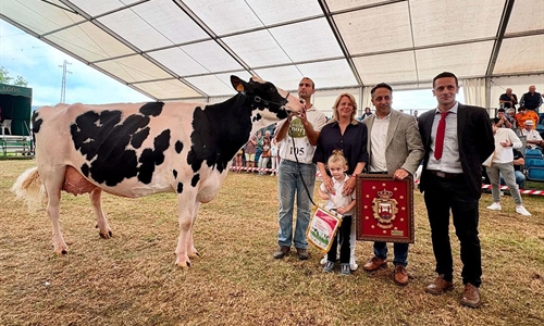Cudaa Arenetes Dallas, Vaca Gran Campeona de Renedo 2025
