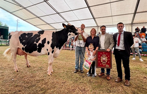 Cudaa Arenetes Dallas, Vaca Gran Campeona de Renedo 2025