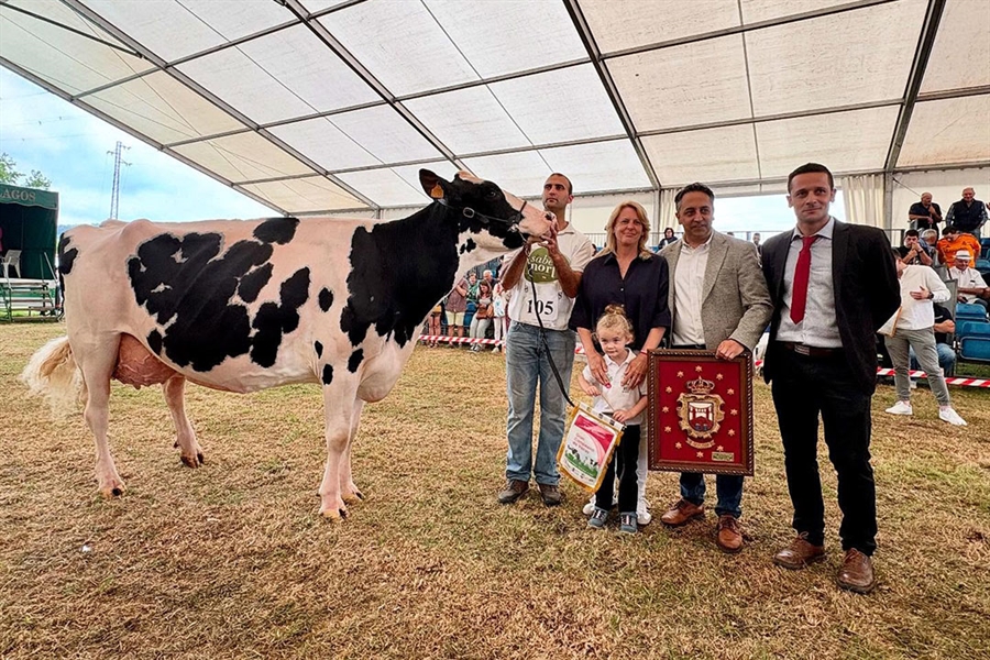Cudaa Arenetes Dallas, Vaca Gran Campeona de Renedo 2025