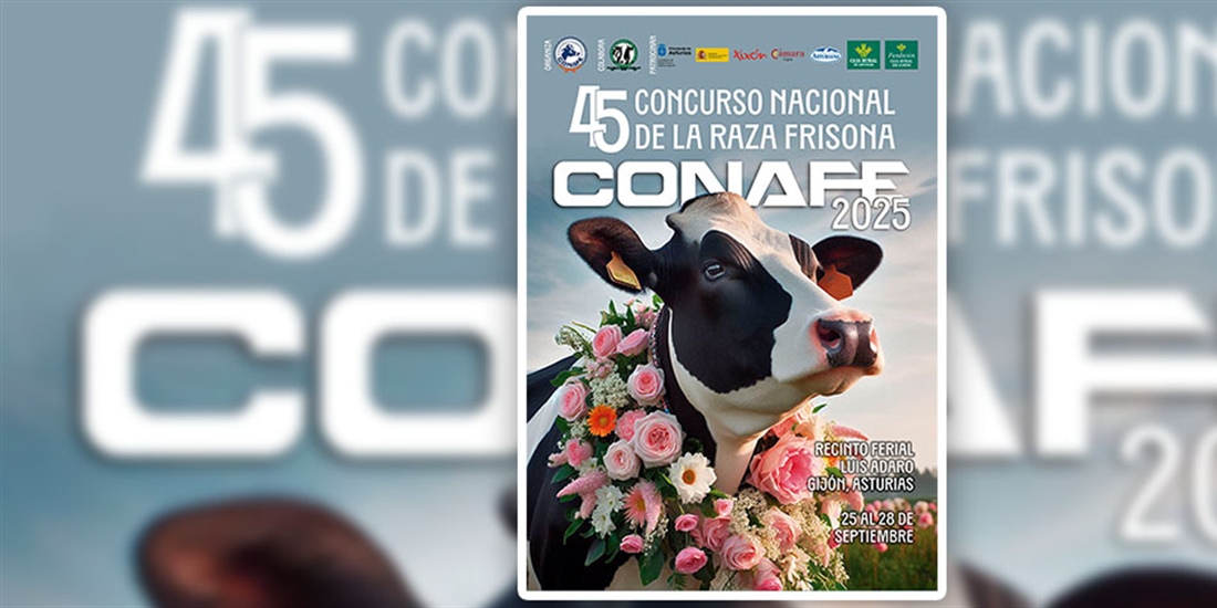 Cartel, cdula de inscripcin y reglamento del Concurso Nacional de...