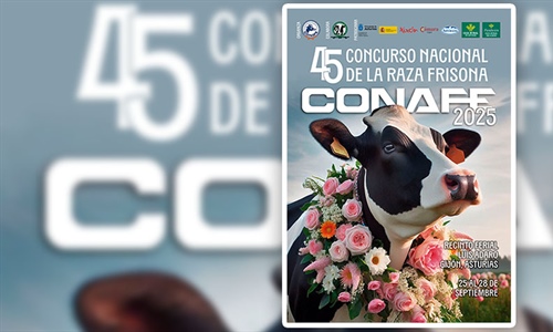 Cartel, cdula de inscripcin y reglamento del Concurso Nacional de...