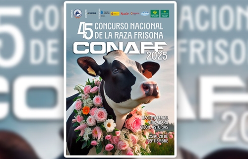 Cartel, cdula de inscripcin y reglamento del Concurso Nacional de...