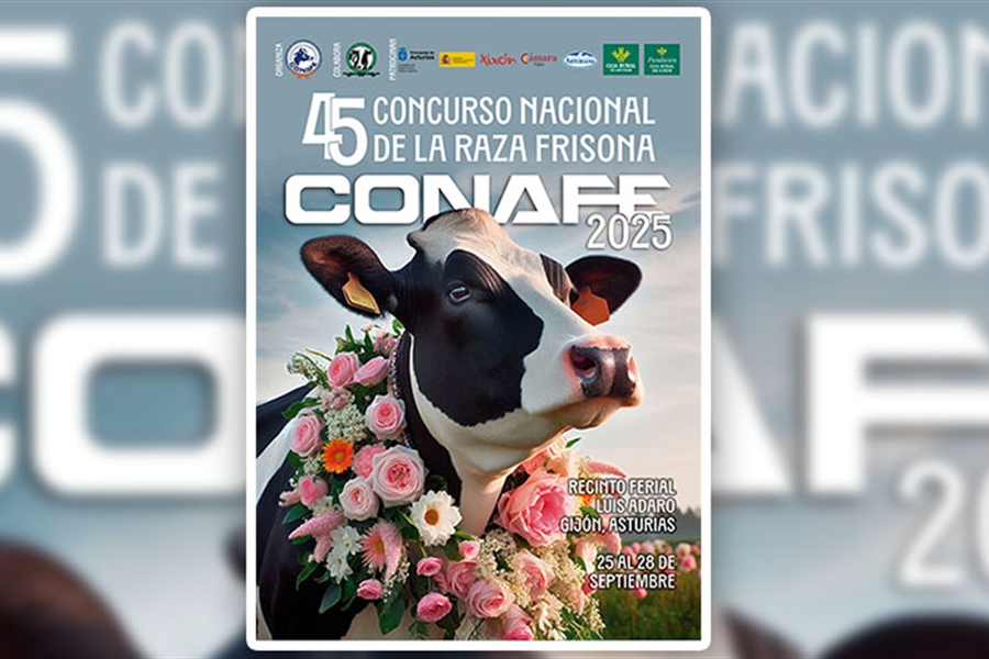Cartel, cdula de inscripcin y reglamento del Concurso Nacional de...