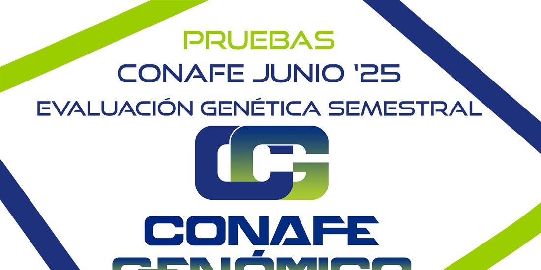 Nuevas pruebas CONAFE junio 2025 de raza frisona