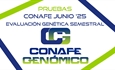 Nuevas pruebas CONAFE junio 2025 de raza frisona