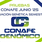 Nuevas pruebas CONAFE junio 2025 de raza frisona