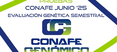 Nuevas pruebas CONAFE junio 2025 de raza frisona
