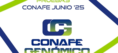 Nuevas pruebas CONAFE Junio 2025 de raza frisona