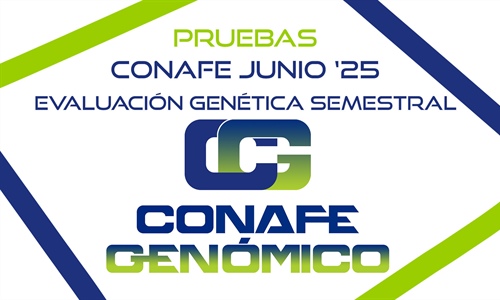 Nuevas pruebas CONAFE junio 2025 de raza frisona