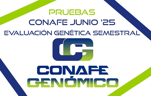 Nuevas pruebas CONAFE junio 2025 de raza frisona