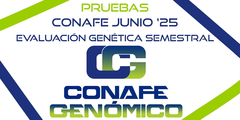 Nuevas pruebas CONAFE junio 2025 de raza frisona