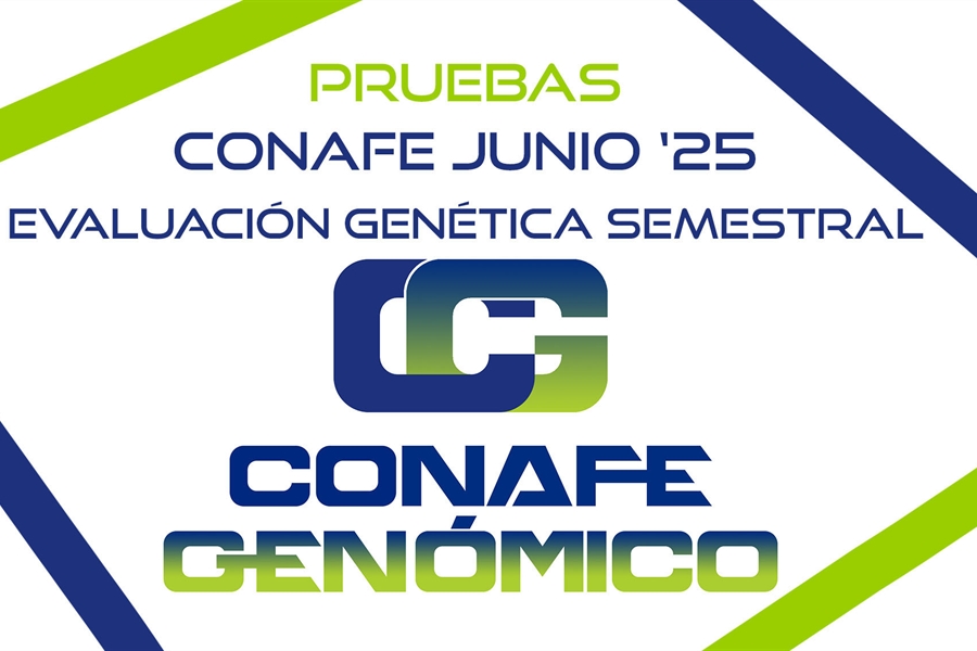 Nuevas pruebas CONAFE junio 2025 de raza frisona