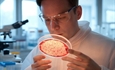 #RealidadGanadera Carne cultivada en laboratorio: promesas, trampas y desafos no resueltos