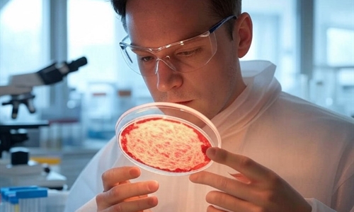 #RealidadGanadera Carne cultivada en laboratorio: promesas, trampas y...