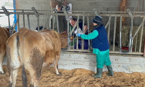 Asturias incrementa un 47 % las ayudas para agrupaciones de defensa...