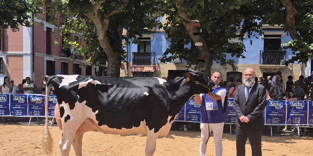 Casa Nueva Thunder S Melissa (Casa Nueva), Vaca Gran Campeona de Irn 2025