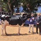 Casa Nueva Thunder S Melissa (Casa Nueva), Vaca Gran Campeona de Irn 2025