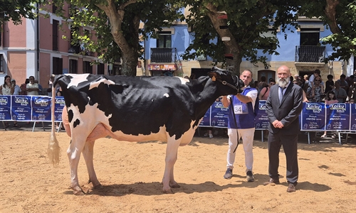 Casa Nueva Thunder S Melissa (Casa Nueva), Vaca Gran Campeona de Ir�n 2025