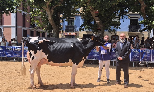 Casa Nueva Thunder S Melissa (Casa Nueva), Vaca Gran Campeona de Irn 2025