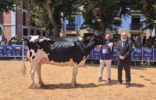 Casa Nueva Thunder S Melissa (Casa Nueva), Vaca Gran Campeona de Irn 2025
