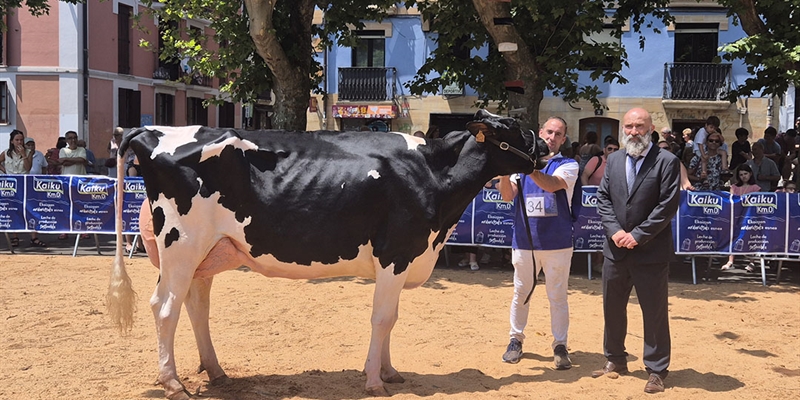 Casa Nueva Thunder S Melissa (Casa Nueva), Vaca Gran Campeona de Irn 2025