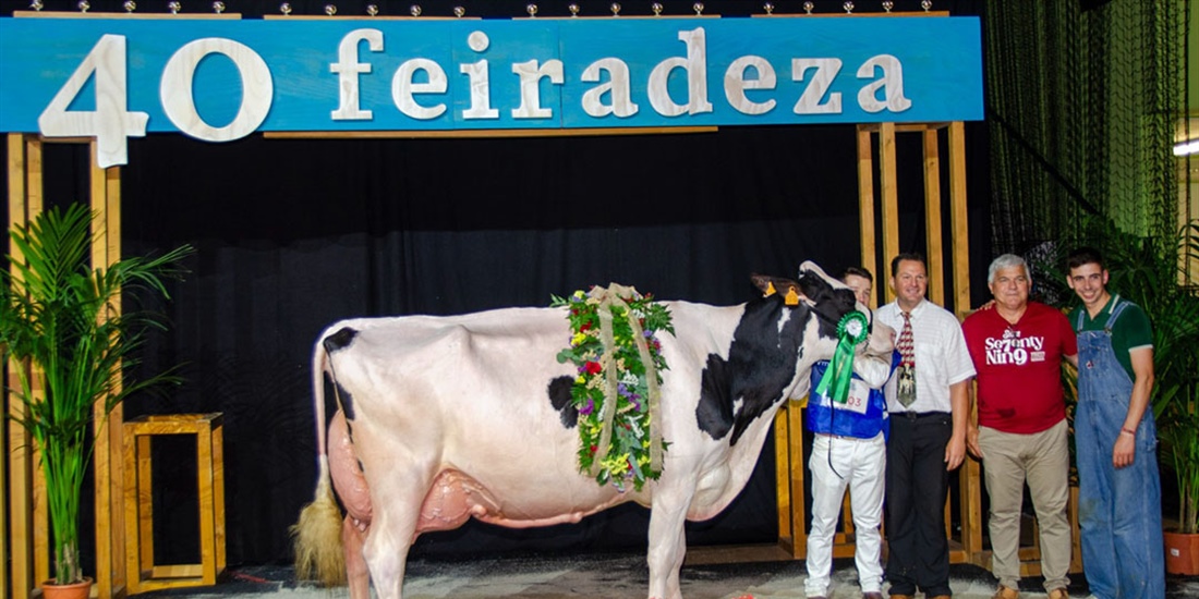 Kergo Ozalid 6818 (A Lagoa Serabel), Vaca Gran Campeona Open Feiradeza 2025