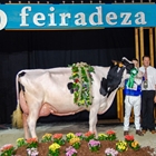 Kergo Ozalid 6818 (A Lagoa Serabel), Vaca Gran Campeona Open Feiradeza 2025