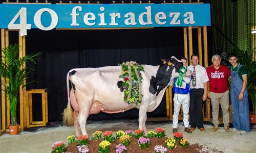 Kergo Ozalid 6818 (A Lagoa Serabel), Vaca Gran Campeona Open Feiradeza 2025