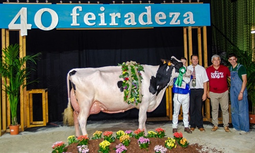 Kergo Ozalid 6818 (A Lagoa Serabel), Vaca Gran Campeona Open Feiradeza 2025
