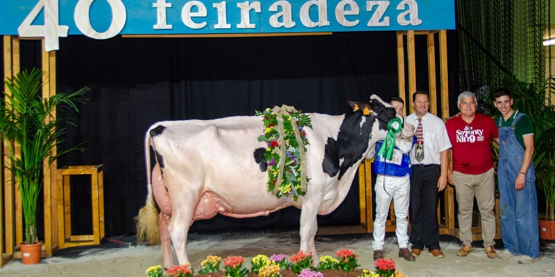 Kergo Ozalid 6818 (A Lagoa Serabel), Vaca Gran Campeona Open Feiradeza 2025