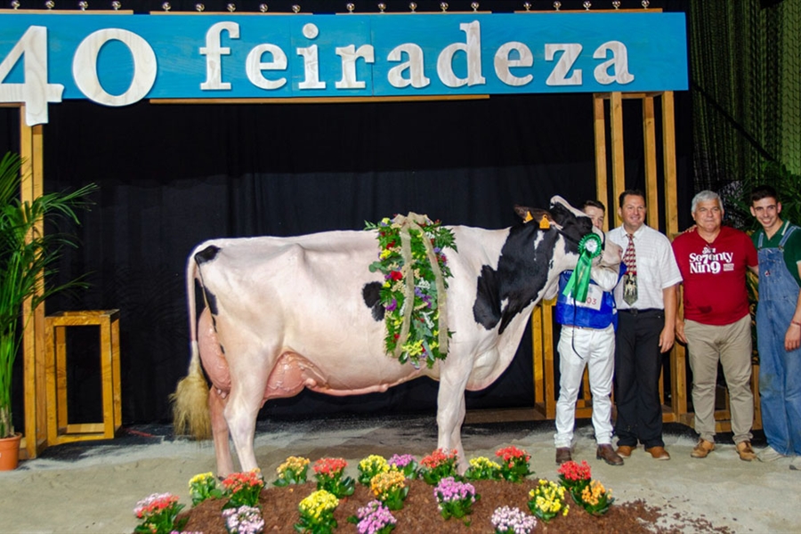 Kergo Ozalid 6818 (A Lagoa Serabel), Vaca Gran Campeona Open Feiradeza 2025