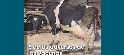 Efectos adversos de  las vacunas