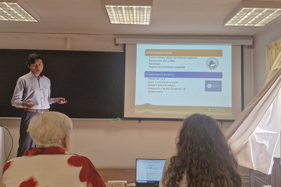 Resumen del TFM de Daniel Garca sobre cetosis subclnica en vacas...