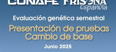 Vdeo: Tutoriales para entender la evaluacin gentica semestral CONAFE junio 2025