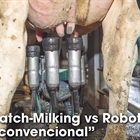 Batch-Milking vs Robot convencional