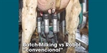 Batch-Milking vs Robot convencional
