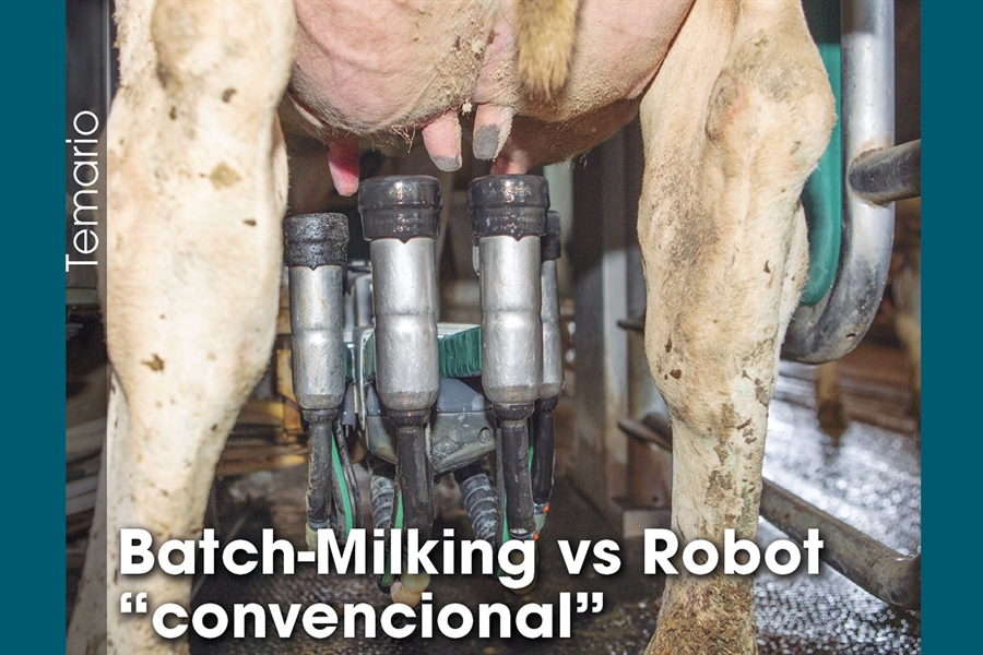 Batch-Milking vs Robot convencional