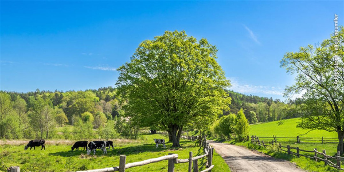 Los mercados agroganaderos europeos siguen resistiendo pese a la...