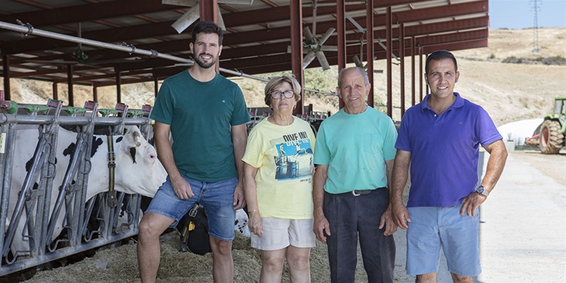 Granja La Becerra, herederos de la tradicin de vacuno lechero de Madrid