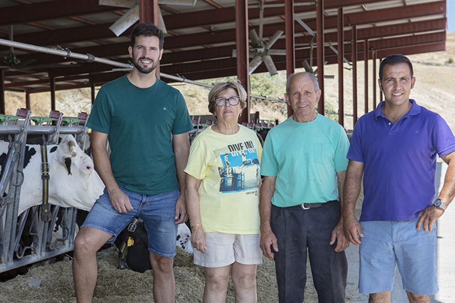 Granja La Becerra, herederos de la tradicin de vacuno lechero de Madrid
