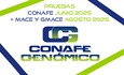 Nuevas pruebas CONAFE Junio 2025 + MACE y GMACE Agosto 2025