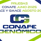 Nuevas pruebas CONAFE Junio 2025 + MACE y GMACE Agosto 2025
