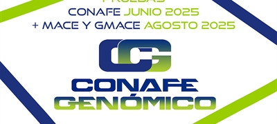 Nuevas pruebas CONAFE Junio 2025 + MACE y GMACE Agosto 2025