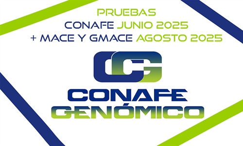 Nuevas pruebas CONAFE Junio 2025 + MACE y GMACE Agosto 2025